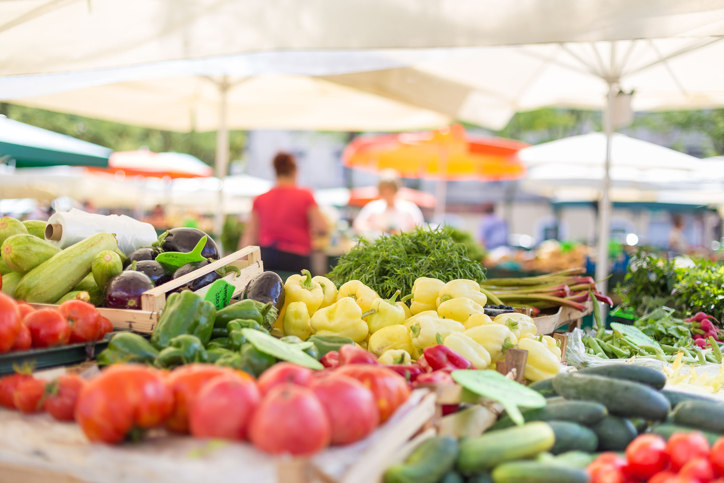 An variety of vegetables at a farmers market stand, including tomatoes, peppers, squash, eggplant, and beans