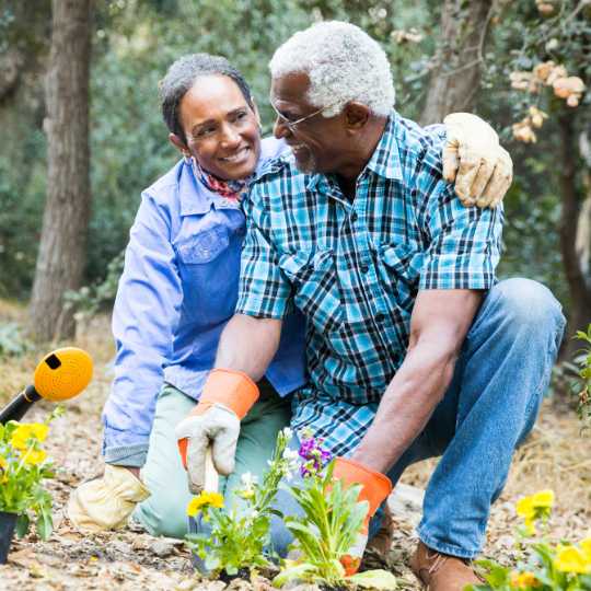 An older couple gardening together, kneeling in the dirt, planting flowers, and smiling warmly at each other.