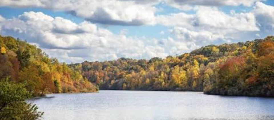 Autumn foliage surrounding a calm lake under a partly cloudy blue sky.